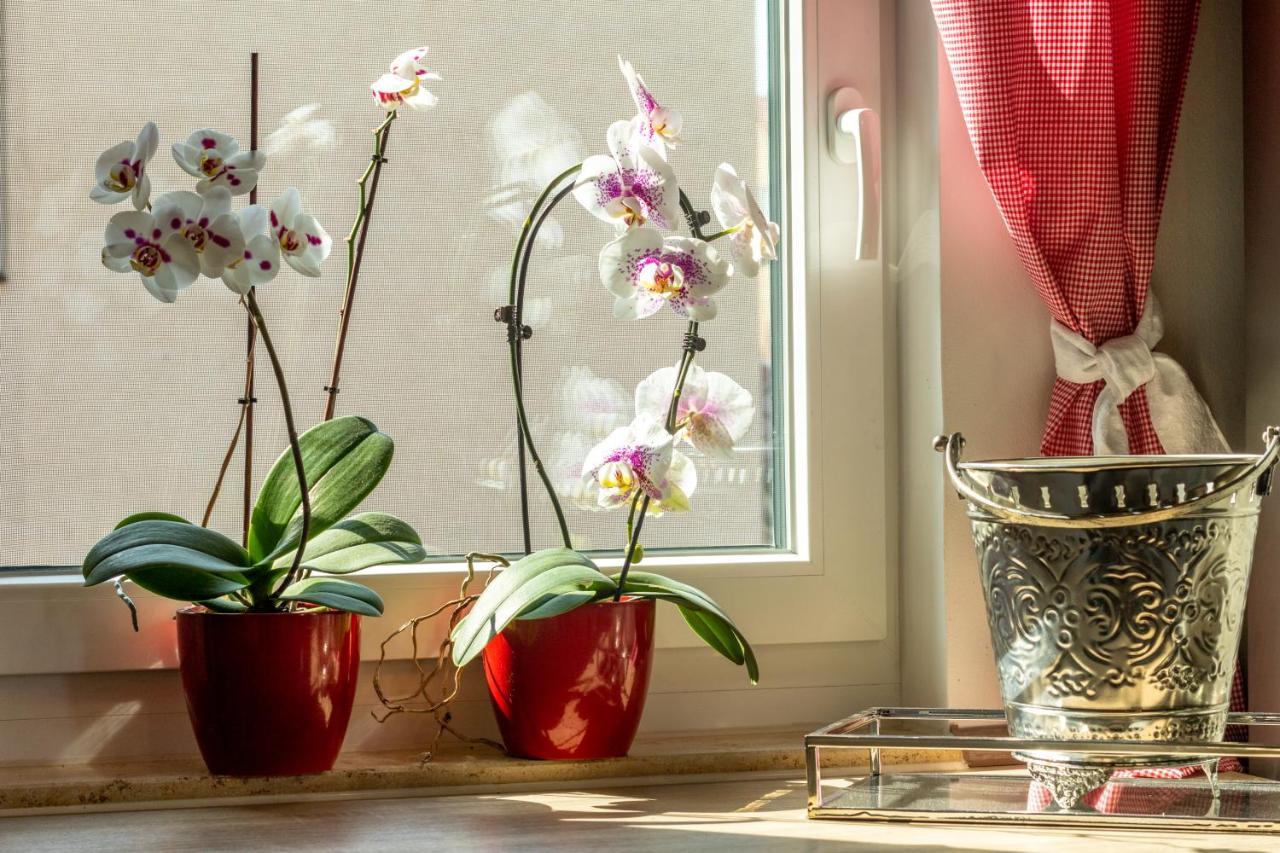 Ferienwohnung Jenzigblick Jena Eksteriør billede